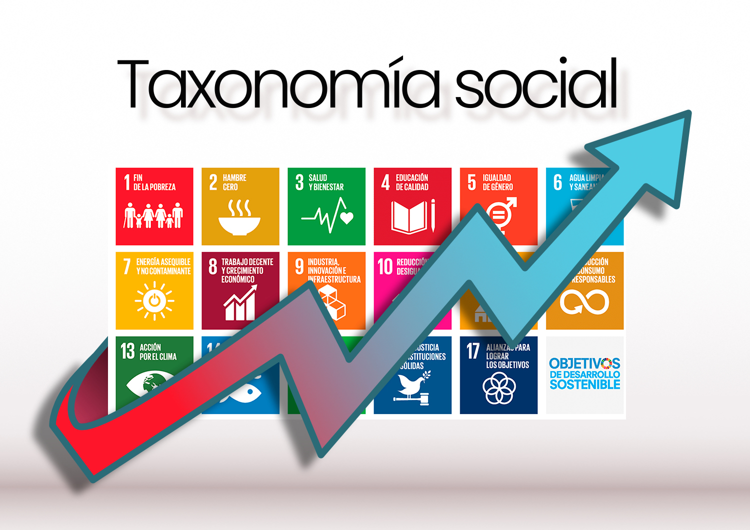 taxonomía social, RSC