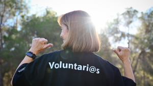 Voluntariado Columbares